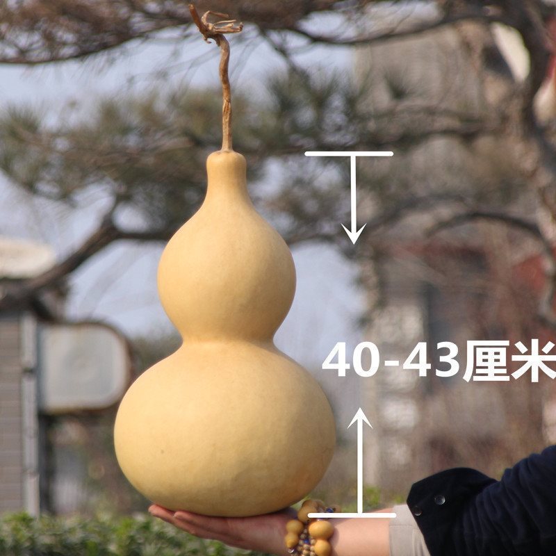 天然葫芦挂件家居饰品特大葫芦摆件带龙头店铺室内悬挂文玩小葫芦|undefined