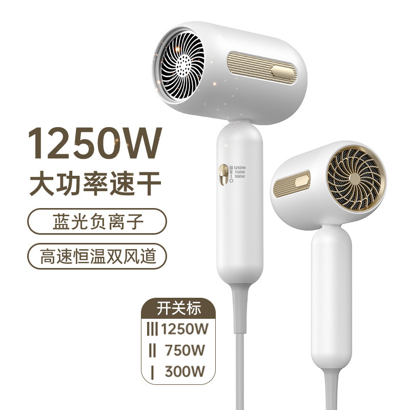 国境を越えたヘアドライヤー家庭用寮冷熱風マイナスイオンネット赤大出力ギャラリー電気ブローメーカー卸売り|undefined