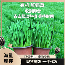 ��Dë��؈�ݻ�ë����؈��ĺú�؈����ë�ݻ����Lȥ�ѷN�lѿ؈��