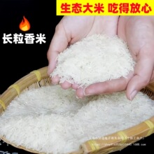 �F����Ҵ�������؈�����L����������׬Fĥ����z���׳�����l