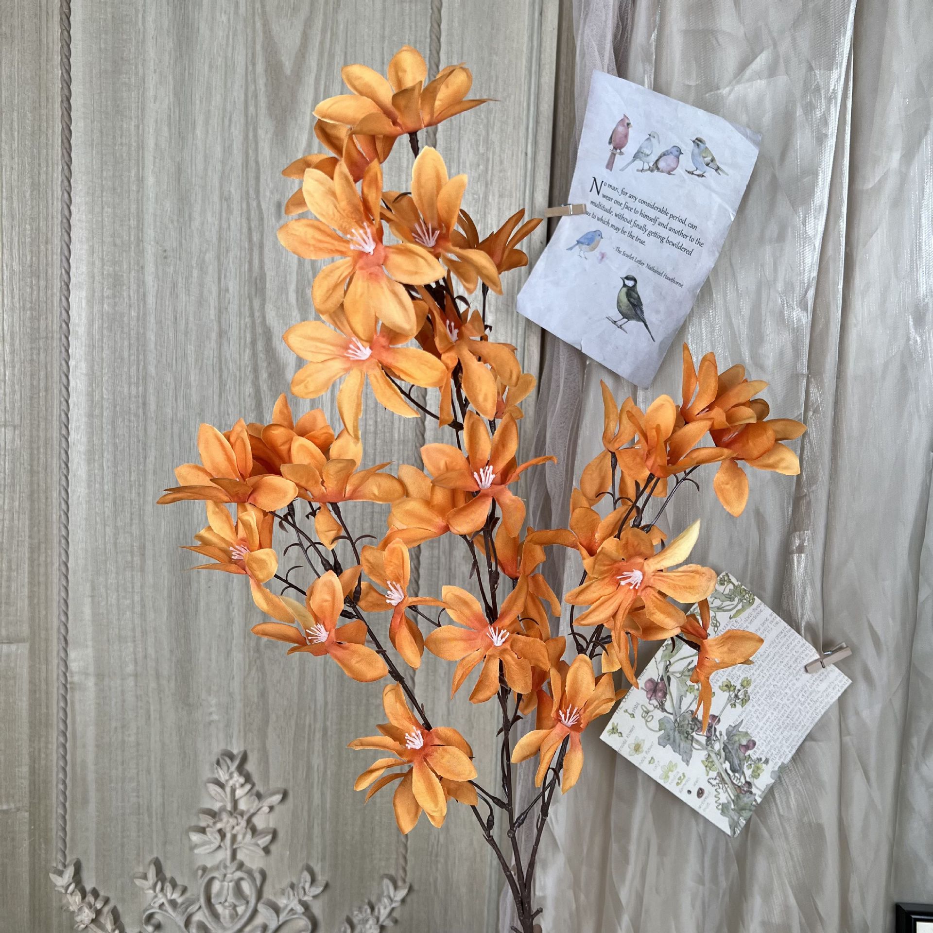 XQ-3 포크 사랑 난초-오렌지