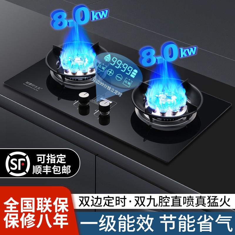 Gas Stove for Home Use, Natural Gas Stove, Dual Burner, Built-In Dual-Purpose, Flameout Protection, Timer, High-Power Stove, Gas Stove Wholesale