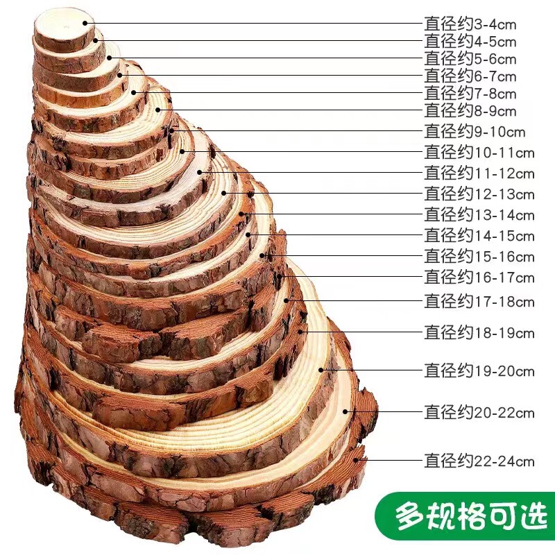 Log wood piece diy hand painting material handmade kindergarten decorative pine tree ring wood block round wood chip board