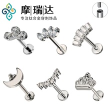 F136�ʹ����w�R���ʯ��ᔻ��������������G23⁺Ͻ���������