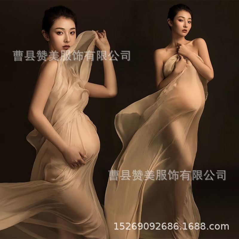 Maternity Photo Clothing Photo Studio Theme Photo Art Photo Elegant and Elegant Advanced Sense Pregnant Mother Photo Maternity Photo Clothes