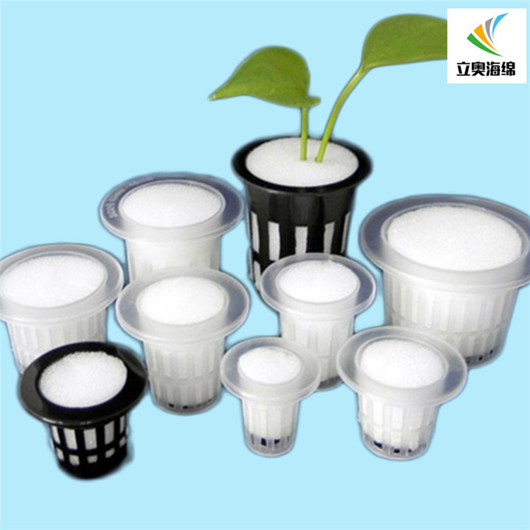 无土栽培固定海棉水培种子育苗种菜架子塑料杯海绵定植杯篮子泡沫