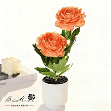 ٻ^ĵ辰҃ȿ͏d[kҾb컨