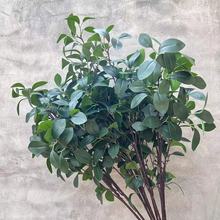 �����֧5��С���~ ����Gֲ�Ҿ��҃ȷ��滨ˇ�b�Ʒ�ٻ��������l