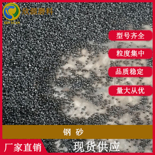 Casting steel grit for shot blasting machine cleaning steel grit alloy cast steel grit 2.5mm G10