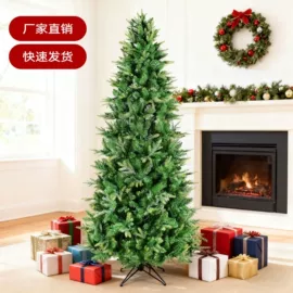 圣诞树;圣诞装饰品