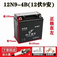 Zongshen 150 Longxin трехколесный мотоцикл Вольт 9 Анган без технического обслуживания аккумулятор 10 аккумулятор 175121