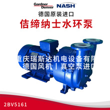 NASH٥���{ʿҺ�h��ձ�2BV5161-0KC027P���T���L�CӢ�����m�Ǹ�