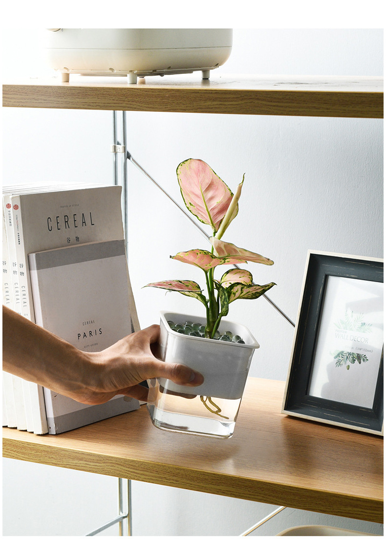 透明可视懒人绿萝自动吸水花盆花瓶方形大号塑料水培绿植养殖盆-