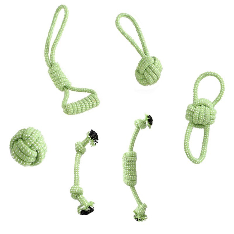 녹색 소형견 6종 세트