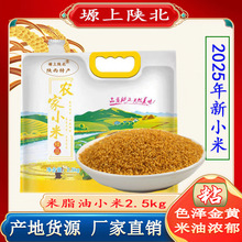 塬上陕北2024年新黄小米五谷杂粮糯黄米香谷小米陕北特产一件代发