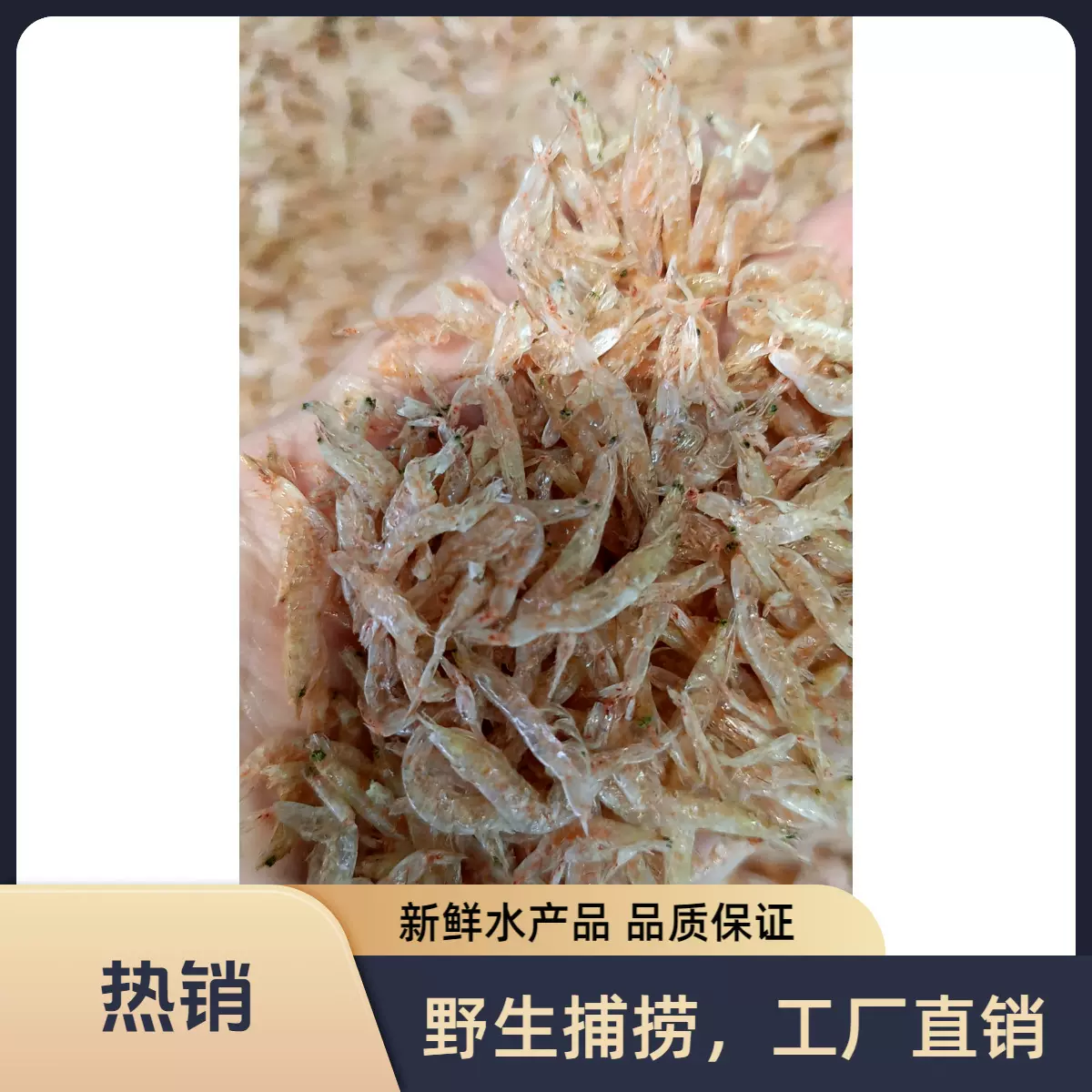 本港生晒虾皮 淡晒不加盐虾皮干 汤料佐料 海鲜干货 支持开票