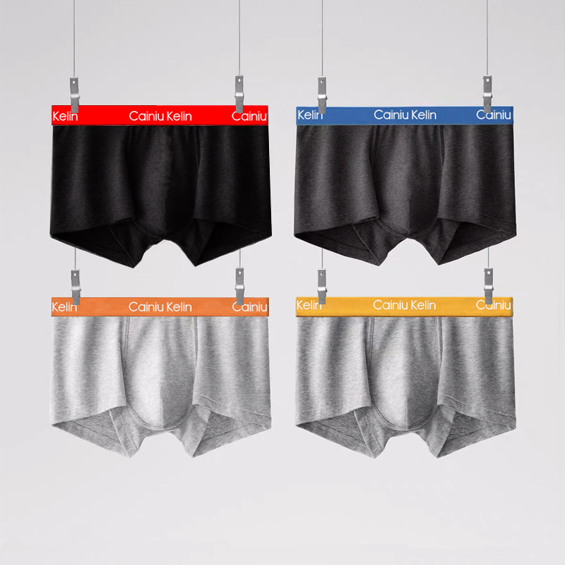 Modal Briefs