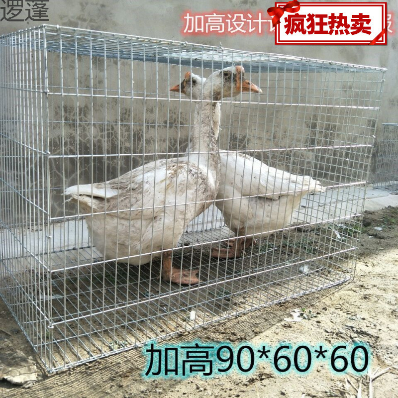 Rabbit Cage, Pigeon Breeding Cage, Chicken Cage, Household Goose Cage, Wire Mesh Assembly Cage, Transport Cage, Large Mother-Child Cage