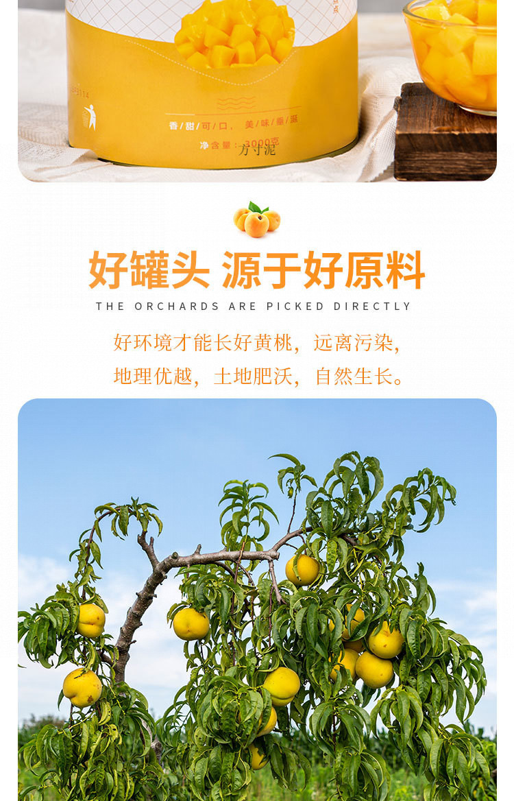 b69cdf63-3a4f-4c04-a37b-4f787d5c81cb.jpe