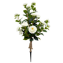 ���x�����Gֲ�tɫɽ�軨�ز��[���҃Ȅ�������ٻ��b��}�Q