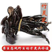 云南灵芝野生竹灵芝整枝非长白山灵芝切片林芝野生食药用菌