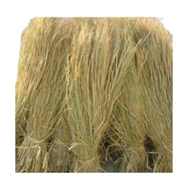 竹木藤苇干草;麻布袋;林业副产品