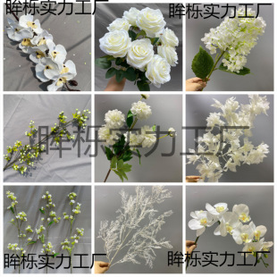 ��ɫ���滨��Y���öY��·���廨ɭϵ��c��̨�b�����ŉ�����