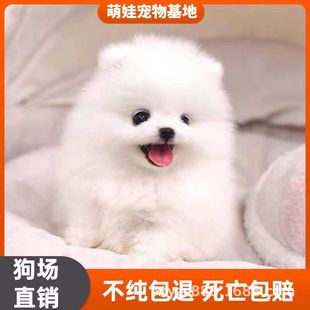 ���N������Ȯ���w���۲豭Ȯ�L���󿡽�С��Ȯ�������B���ﹷ