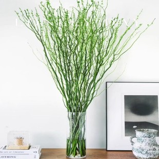 �҃�ˮ��Gֲ�����r֦�l���Ի����^�~�����՚���B��͏d�ļ����B