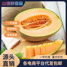 ����Ʒ�Nɽ�|���ܹ����ڮa��ֱ�l��Ϯ���ˮ���۹ϾW�y��һ�����l