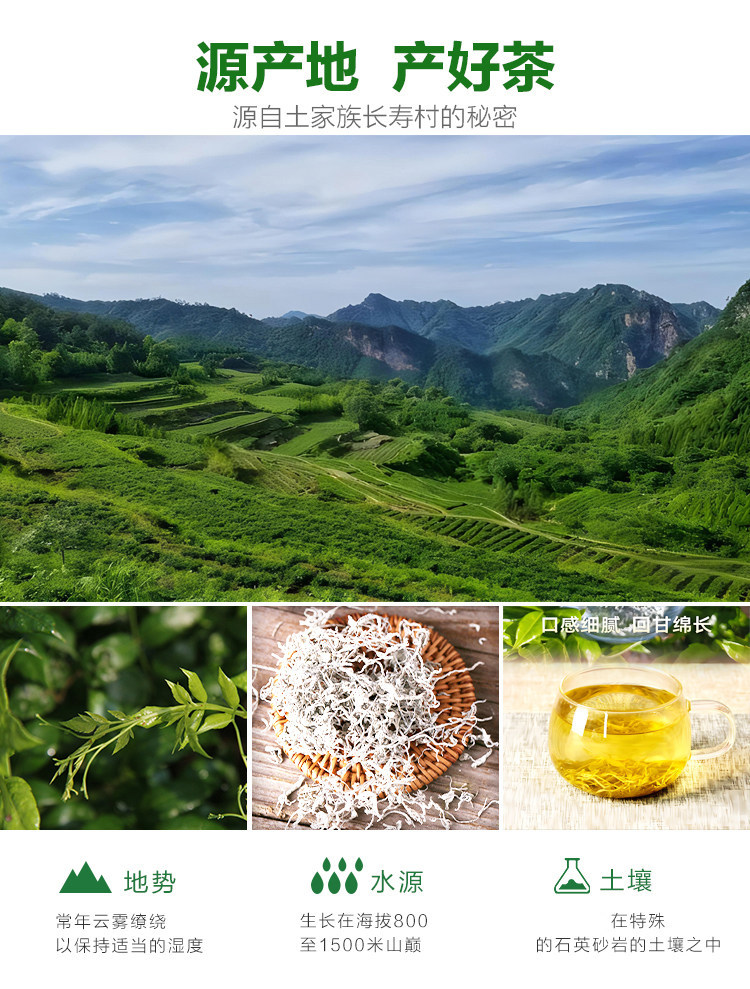 Wild Mei Tea Zhangjiajie Premium Wild Vine Tea 500g Pre-Qingming Purple Gold Bud Tips Hot Brew Herbal Tea specifications