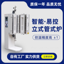 ِʽ՚չʽt ҸߜʯӢʽRt ܜؿ؏S