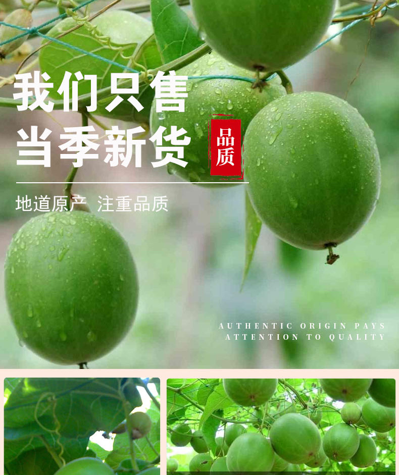 Luo Han Guo Seeds & Kernel (Siraitia grosvenorii) — Dried Monk Fruit Seed Tea, 500g Bulk specifications