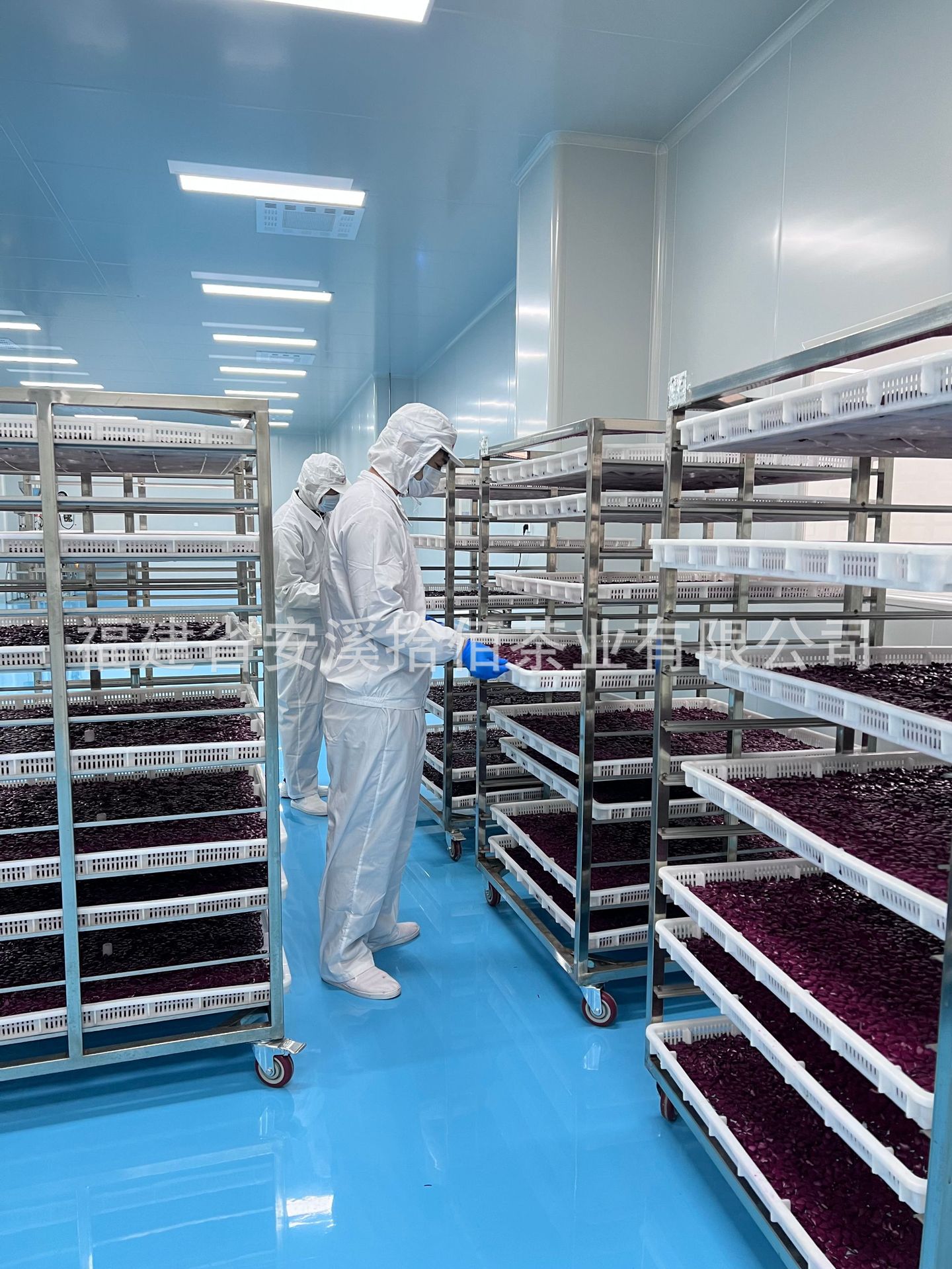 dac67c9e309f09e5169c6b7f6e36ad