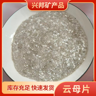 �ĸ�S�����l�ĸ��Ƭ�T�����ጧ늝��ĸ���⠝�õV����Ƭ