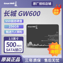 ���ó���GW600 256GB ��̬Ӳ�� SATA3.0 �ʼǱ�̨ʽ GW600256G