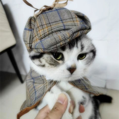 ペットホームズ探偵変身装マント笠セット猫犬ハロウィーン装怪袖なし
