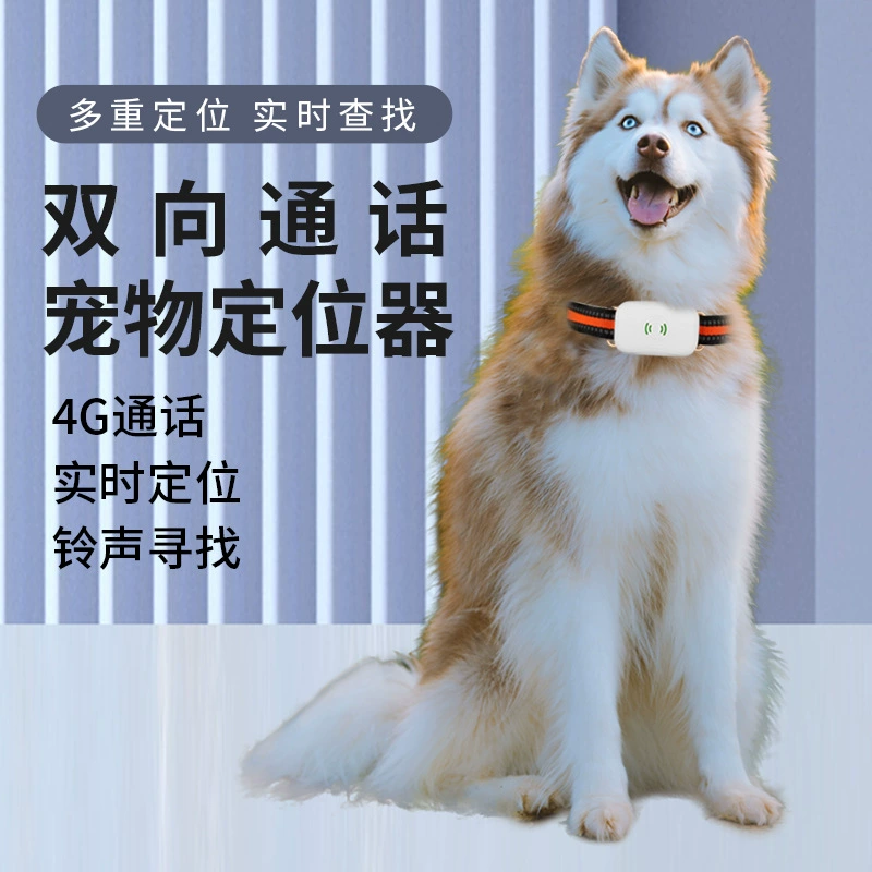 GPS-ошейник для собак против потери