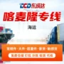 喀麦隆专线门