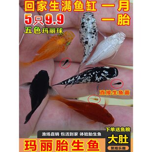 �����������~�����~��ֱ��С�~������ˮ�~���B���ȸС���^�p�~