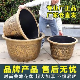 ���~��֬�Ӻ��̨ͥԺ�ɻ������S�ҹ��Sֱ�N���]���R�d