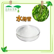 SF؛ֱ ˮ߰  98% 50% 25%