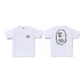 D762 White