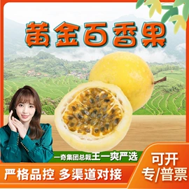 代用/养生茶;苹果;花果茶