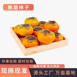 柚;其他水果;番薯类