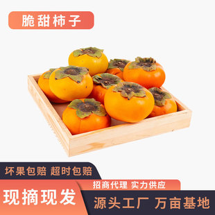 Gongcheng Crispy Hsimmon теперь выбирает свежие самолеты, фрукты, не -инстросинг -сахарные горлы