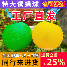 ���@�����Tω�����ωᘷ��Сʳωճ�x���ω�T����������o����