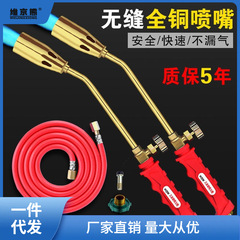 德國進口液化氣噴火燒豬毛噴煤氣天然氣家用防水高溫頭燒肉創薑茶