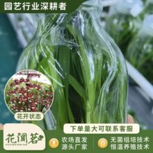 �����m 0820 ̩����ˮ�mƿ��M�����״���҃������Ի�������r��