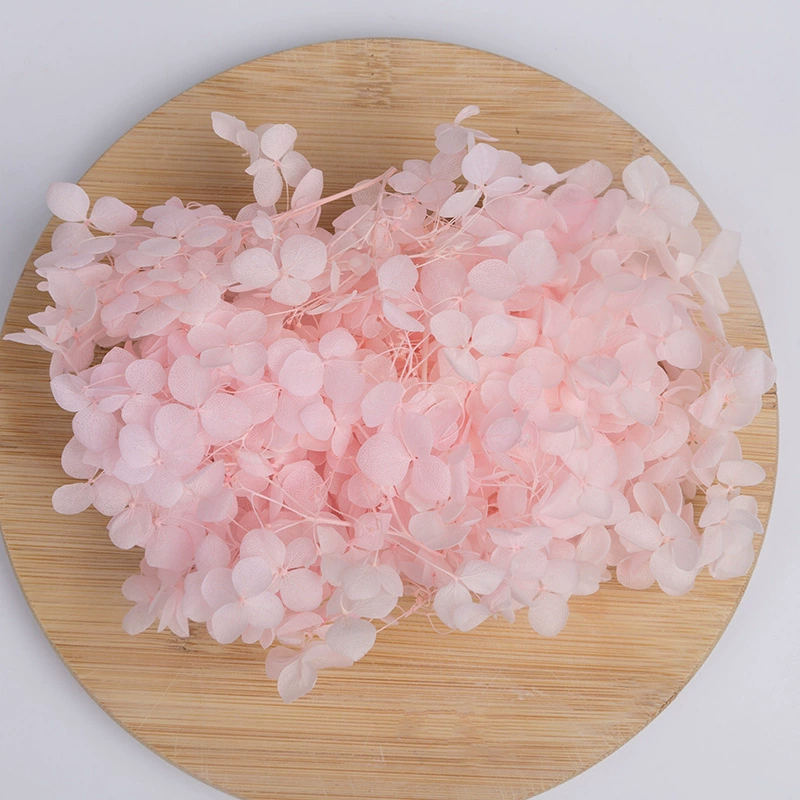 Вечный цветок Сухоцветная коробка Анна Гранди Hydrangea посыпанные лепестки цветов для лица свадьбы оформление Цветочный стиль
